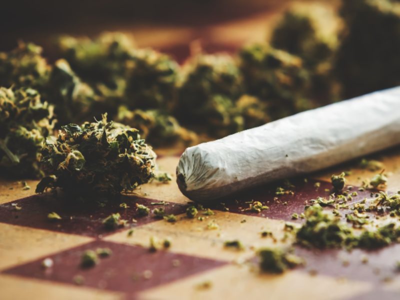Marijuana May Actually be the Opposite of a Gateway Drug, Study Shows