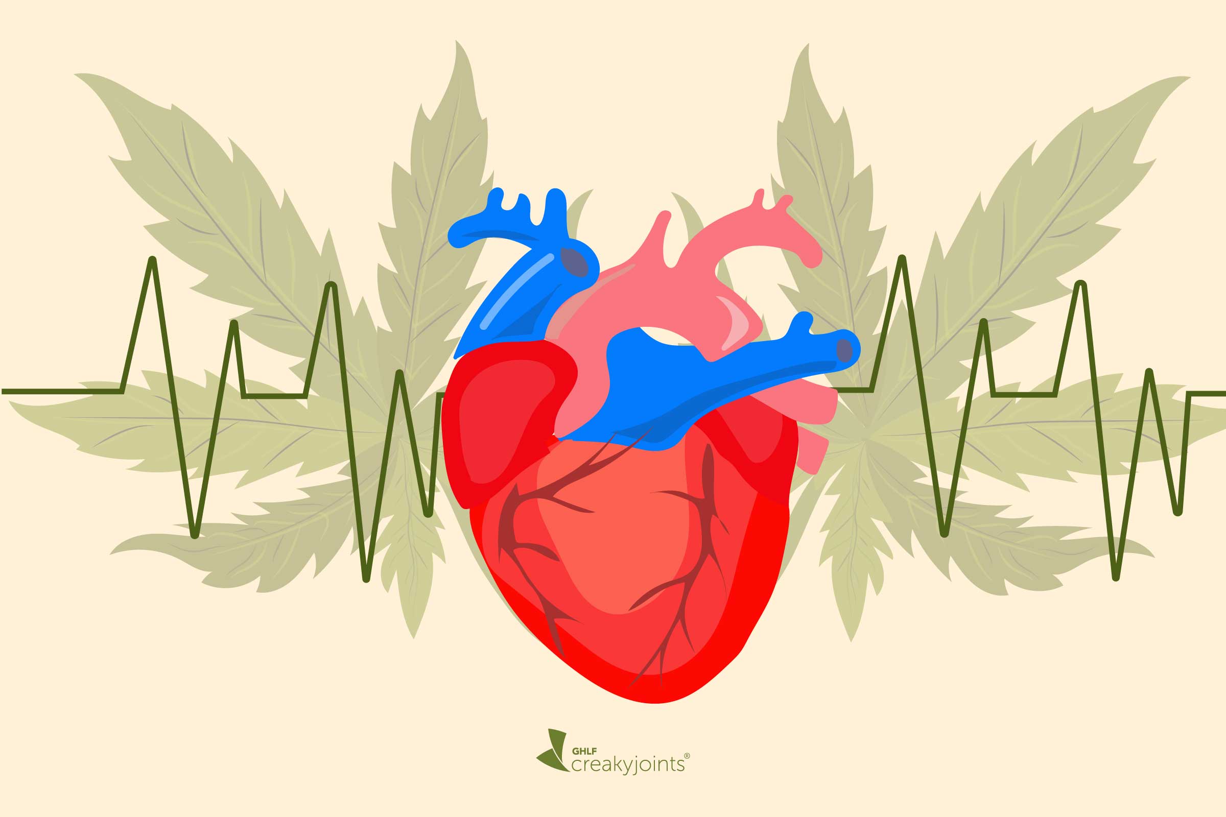 New Studies Show Increased Of Heart Disease If You Consume Cannabis ...