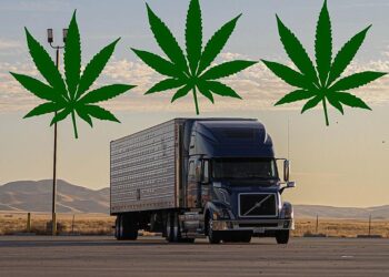 Truck Drivers Are Refusing More Drug Tests As States Legalize Cannabis
