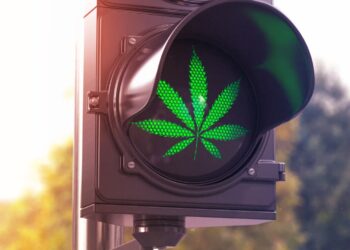 Florida gets marijuana on the ballot for November