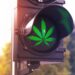 Florida gets marijuana on the ballot for November