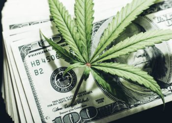 Over $100 billion will be infused into the economy from marijuana this year
