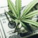 Over $100 billion will be infused into the economy from marijuana this year