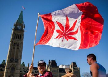 Hospital Visits for Cannabis Poisoning Triple After Canada’s Legalization