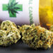 Nearly 70% of Americans Support Cannabis Legalization
