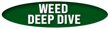 Weed Deep Dive