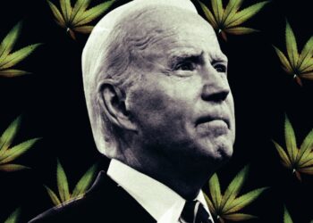 Will Rescheduling Weed Help Biden with the youth?