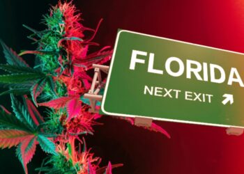 Marijuana Activists in Florida Not Giving up on Legalization