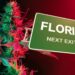 Marijuana Activists in Florida Not Giving up on Legalization