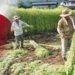 Japan Moves Ahead With Cannabis Reform, First Real Steps For Legalization On The Island Nation