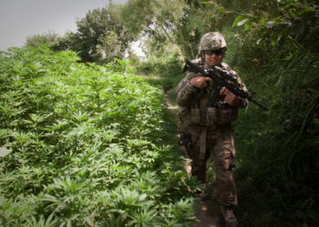 White House Opposes Bill To Stop Testing Military Recruits For Marijuana