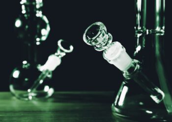 Woman may go to jail for 30 years due to what was in her bong water