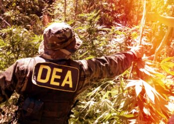 DEA’s proposal to move weed to Schedule III has gotten over 20,000 comments