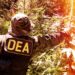 DEA’s proposal to move weed to Schedule III has gotten over 20,000 comments