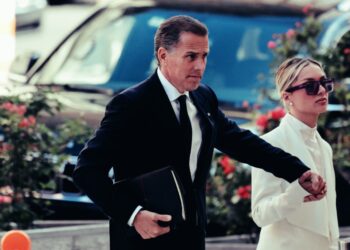 Republican Congressman Agrees Marijuana Users can own guns