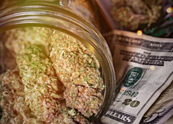 California gives out $40 million from marijuana taxes