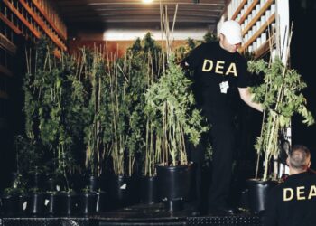 DEA Ends Public Comment Period for Rescheduling with 43,000 comments