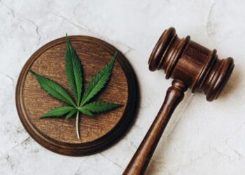 Senators vote on DOOBIE Act Tomorrow