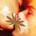 New studies expand on how marijuana is good for relationships