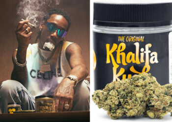 Wiz Khalifa Expands Cannabis Brand Into Germany