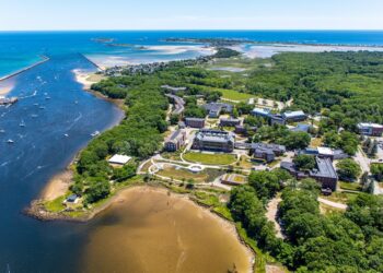A University In Maine Now Offers Certificate Programs For Cannabis Professionals