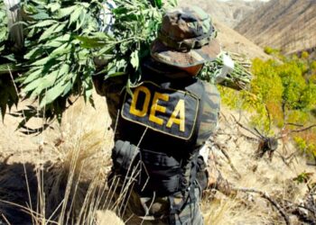 Marijuana Rescheduling Pushed Till After the Election