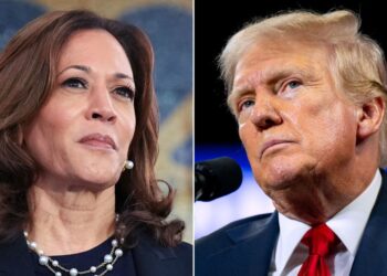 Harris Calls Out Trump On His Varying Cannabis Policies
