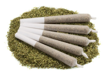 Pre-Rolls Are the Fastest and Largest Growing Product In Dispensaries According to a New Study
