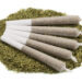 Pre-Rolls Are the Fastest and Largest Growing Product In Dispensaries According to a New Study