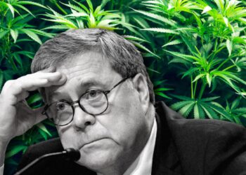 Some Reactions to Trump’s Marijuana Support