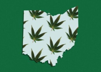 Ohio Gets $44 Million in its first month of legal weed sales