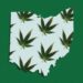 Ohio Gets $44 Million in its first month of legal weed sales