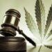 Federal Judges Clash On Gun Ban For Marijuana Users