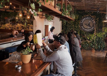 California Legalizes Cannabis Cafes