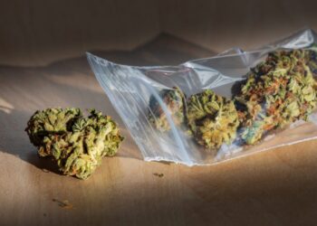 No Evidence of Widespread Fentanyl in Weed