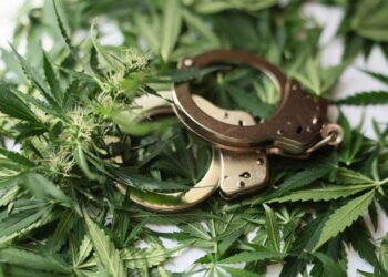 Is Biden Pardoning Marijuana Prisoners or what?