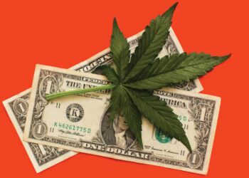$3 Billion could be generated from marijuana ballots if all in their favor
