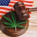 So how’d the election turn out for Marijuana?