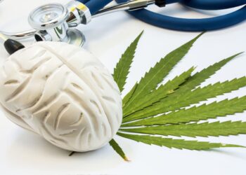Large Study finds that Cannabis negatively effects your memory