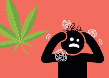New Info Found for link between Cannabis and Psychosis