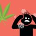 New Info Found for link between Cannabis and Psychosis