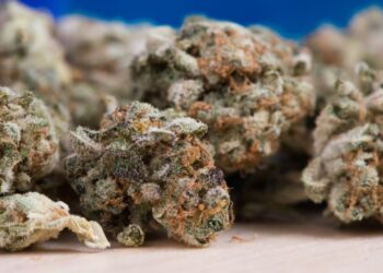 New Year, New Prices: How Much Does an Ounce Cost?