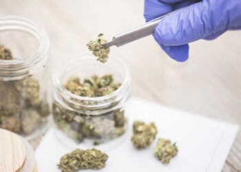 New Studies Introduced To Use Cannabis During Late Stage Dementia