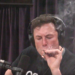 Elon Musk Calls For All Federal Employees to Undergo Drug Testing