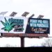 Both Non-Cannabis Companies And Regular Weed Businesses Are Going All In on 420 Ads this year