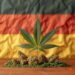 How has Marijuana done in Germany