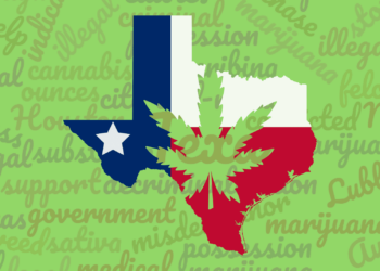84% Of Registered Voters In Texas Support Legalizing Cannabis Under Certain Circumstances