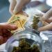 Tariffs And The American Cannabis Industry, How Is It Impacted?