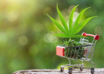 Is All The Cannabis Hype Real Or Just Marketing?