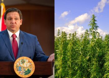 Florida Bans Marijuana Access To People With Drug Convictions
